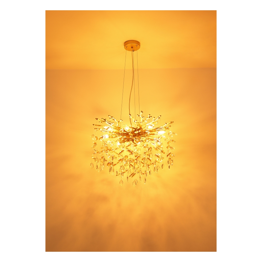 Globo - Lustr na lanku 8xE14/40W/230V zlatá