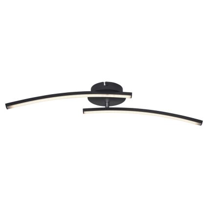 Globo - LED Přisazený lustr 2xLED/6W/230V 3000/4000/6000K