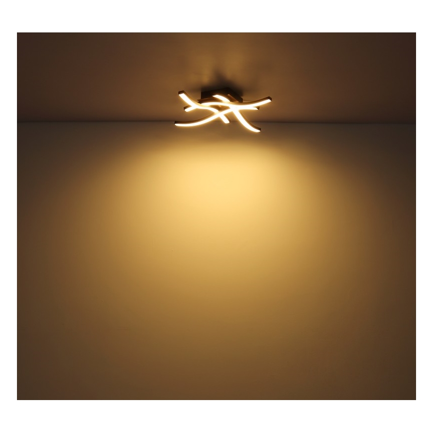Globo - LED Přisazený lustr 4xLED/5W/230V