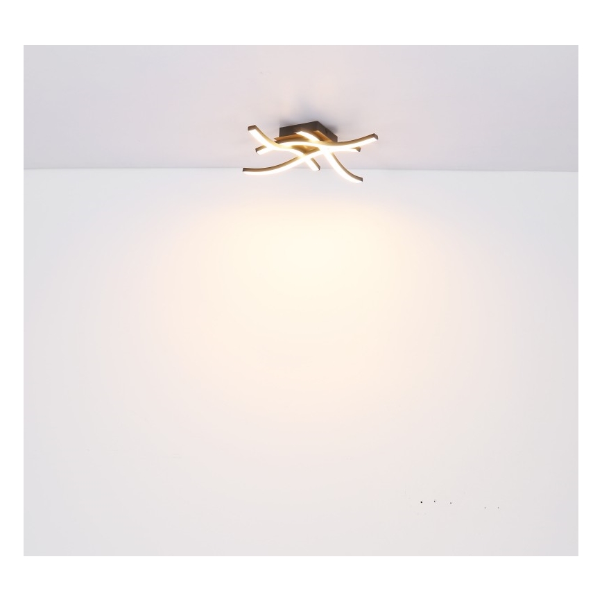 Globo - LED Přisazený lustr 4xLED/5W/230V