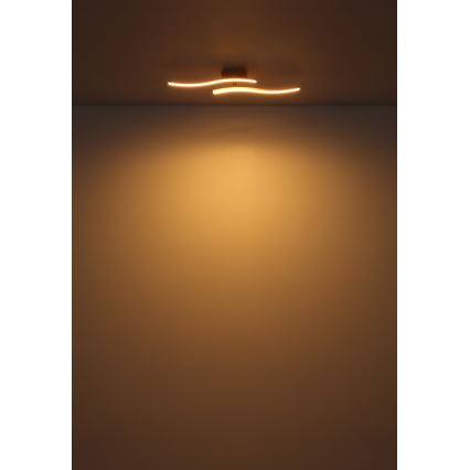 Globo - LED Přisazený lustr LED/12W/230V 3000K bílá
