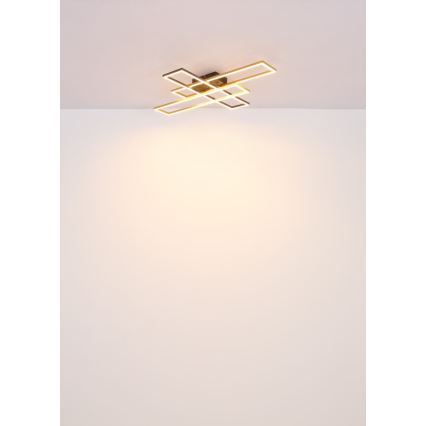 Globo - LED Stropní svítidlo LED/40W/230V 3000K 60x80 cm černá/zlatá