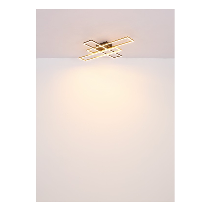 Globo - LED Stropní svítidlo LED/40W/230V 3000K 60x80 cm černá/zlatá