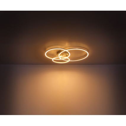 Globo - LED Stropní svítidlo MUNNI LED/40W/230V