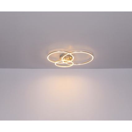 Globo - LED Stropní svítidlo MUNNI LED/40W/230V