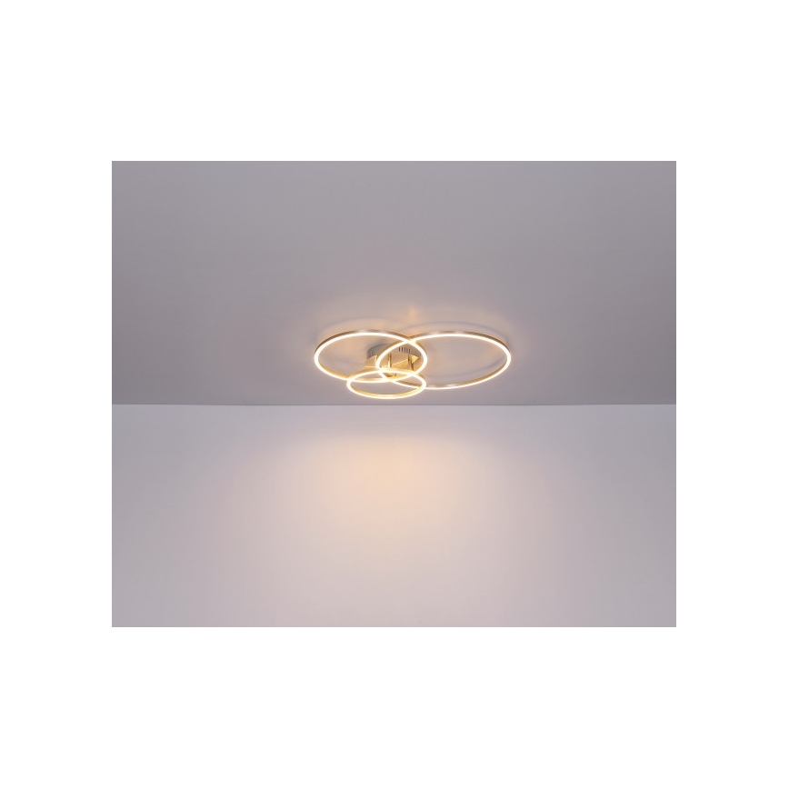 Globo - LED Stropní svítidlo MUNNI LED/40W/230V