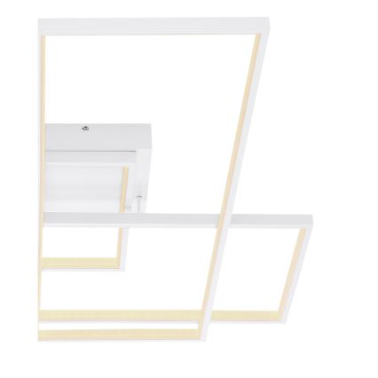 Globo - LED Stmívatelné stropní svítidlo GABRIEL LED/100W/230V + DO