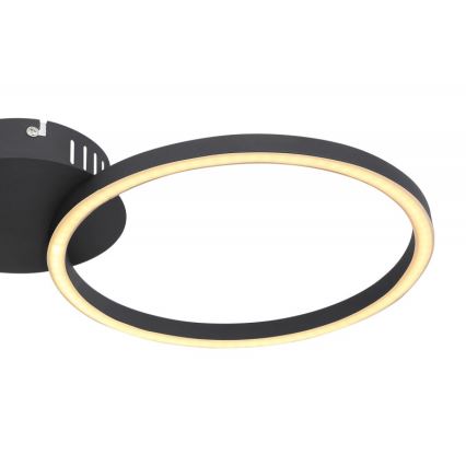 Globo - LED Přisazený lustr LED/24W/230V