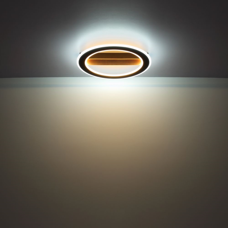Globo - LED Přisazený lustr LED/30W/230V kulatý