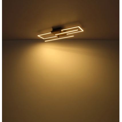 Globo - LED Stropní svítidlo LED/24W/230V 3000K 20x80 cm
