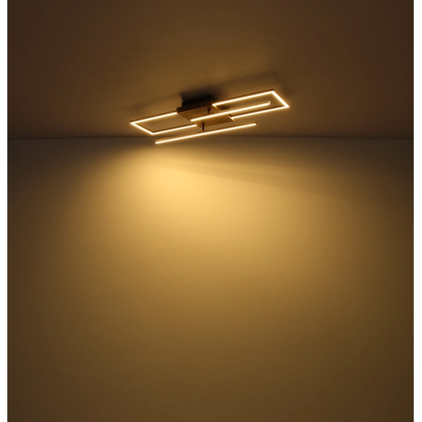 Globo - LED Stropní svítidlo LED/24W/230V 3000K 20x80 cm