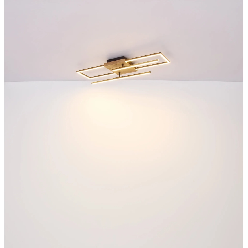 Globo - LED Stropní svítidlo LED/24W/230V 3000K 20x80 cm