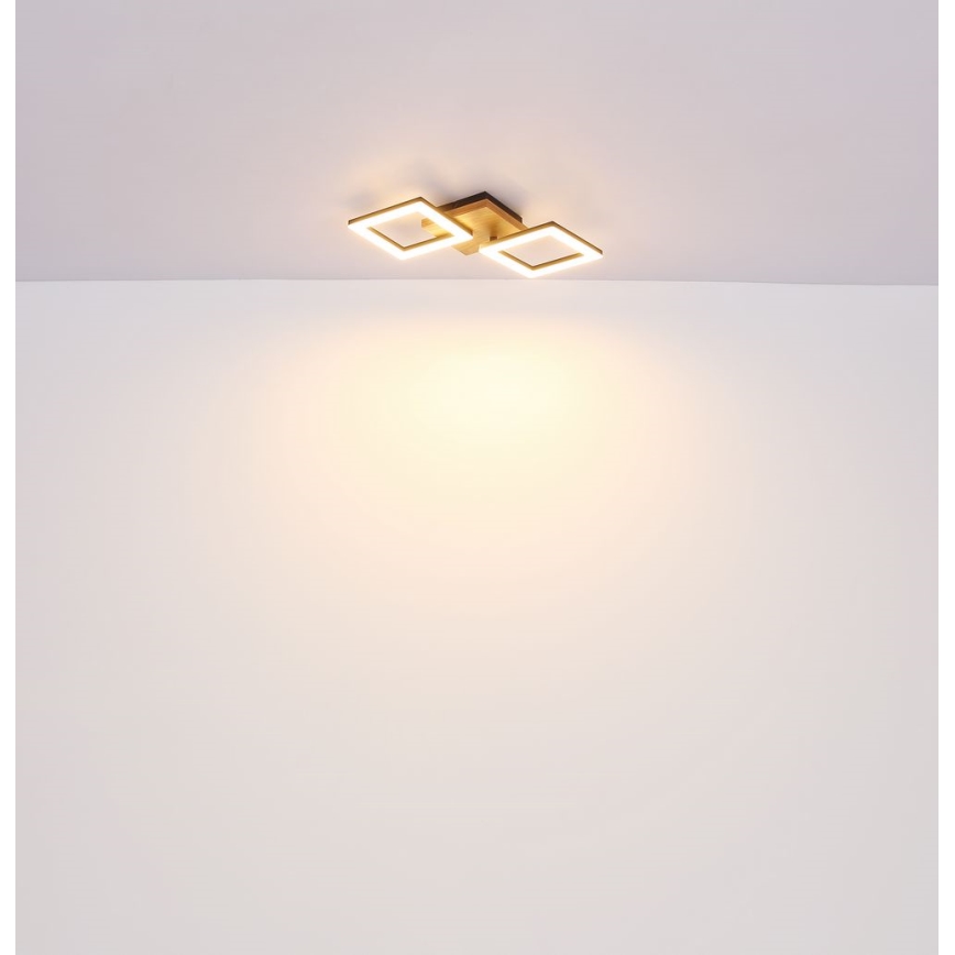 Globo - LED Přisazený lustr LED/30W/230V