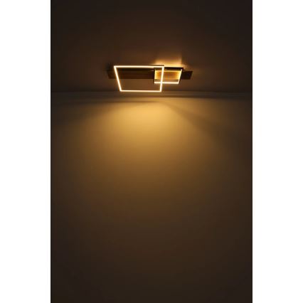 Globo 67289D1 - LED Stropní svítidlo VANNI LED/24W/230V 40x75 cm hnědá/černá