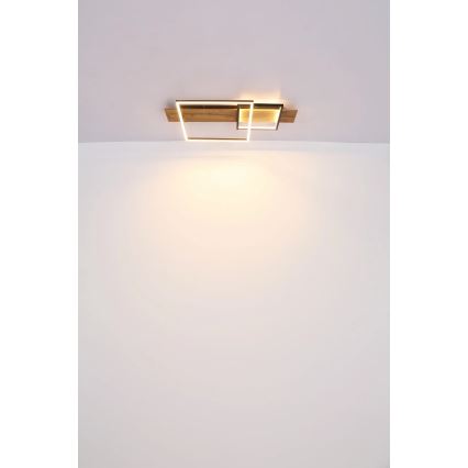 Globo 67289D1 - LED Stropní svítidlo VANNI LED/24W/230V 40x75 cm hnědá/černá