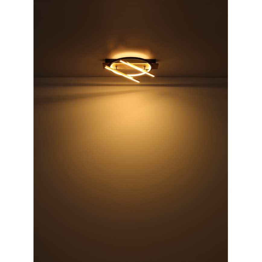 Globo - LED Stropní svítidlo LED/32W/230V
