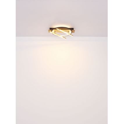 Globo - LED Stropní svítidlo LED/32W/230V