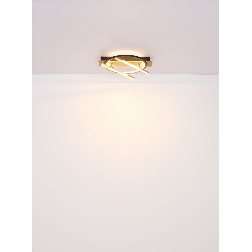 Globo - LED Stropní svítidlo LED/32W/230V