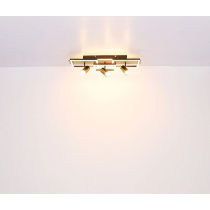 Globo - LED Stropní svítidlo LED/48W/230V + 3xGU10/5W 3000K 27x72 cm