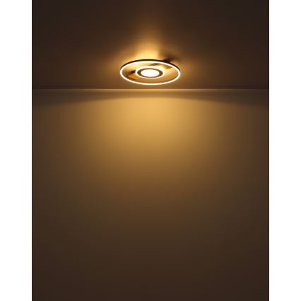 Globo - LED Stropní svítidlo LED/24W/230V
