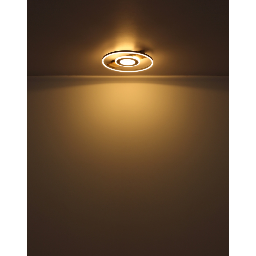 Globo - LED Stropní svítidlo LED/24W/230V