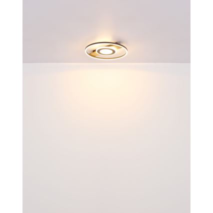 Globo - LED Stropní svítidlo LED/24W/230V