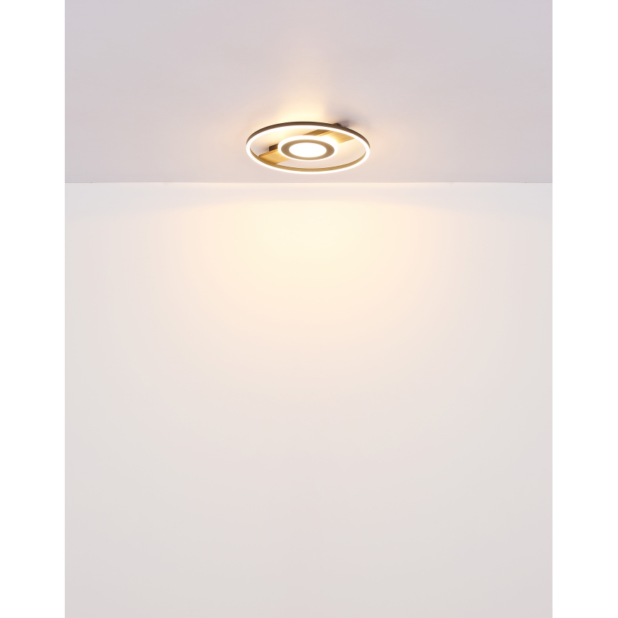 Globo - LED Stropní svítidlo LED/24W/230V