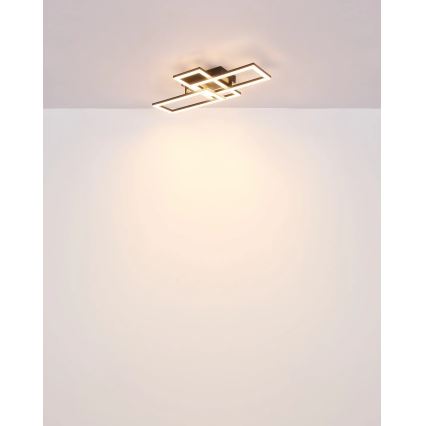 Globo - LED Stropní svítidlo LED/24W/230V