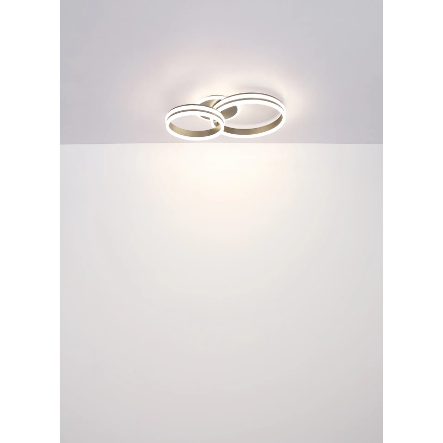 Globo - LED Stmívatelné stropní svítidlo LED/50W/230V 2700-6000K 50x75 cm + dálkové ovládání