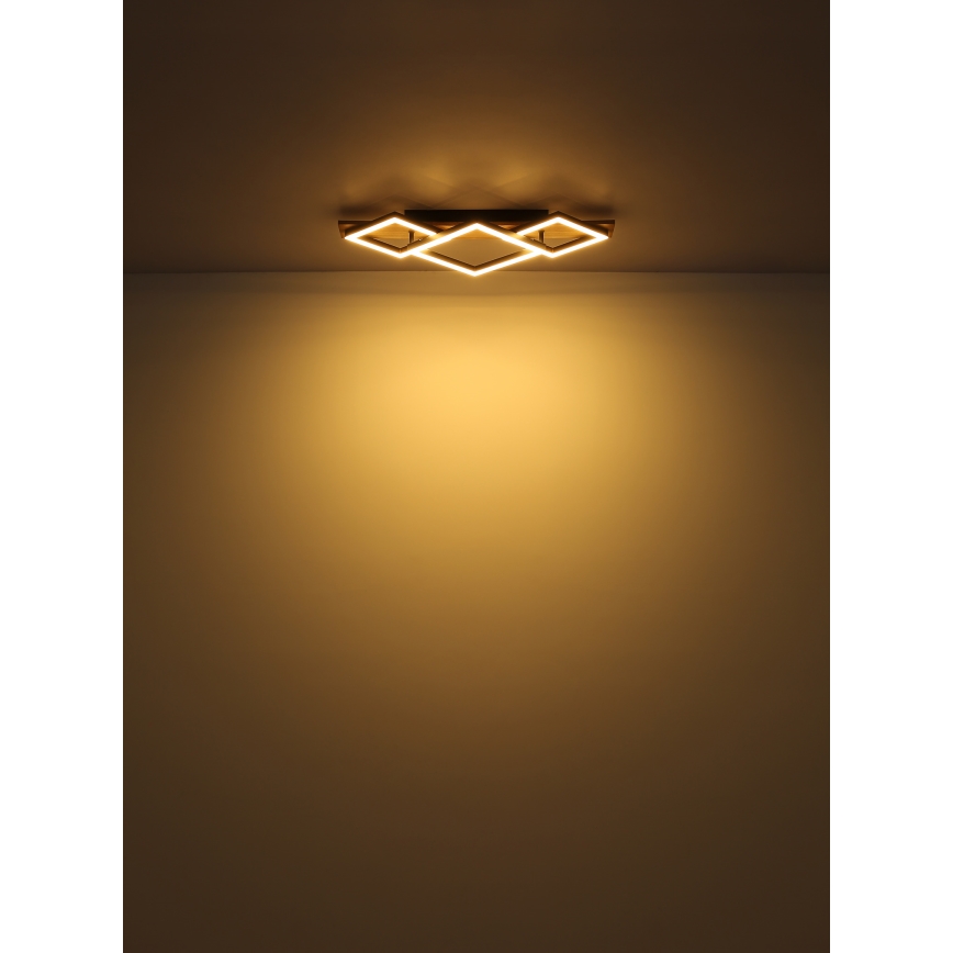 Globo - LED Stropní svítidlo LED/24W/230V