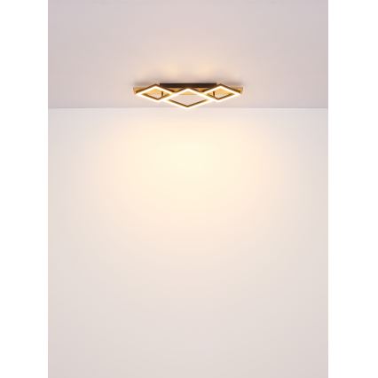 Globo - LED Stropní svítidlo LED/24W/230V
