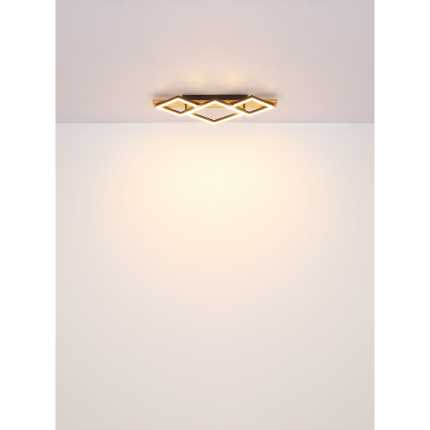 Globo - LED Stropní svítidlo LED/24W/230V