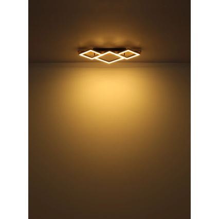 Globo - LED Stropní svítidlo LED/24W/230V