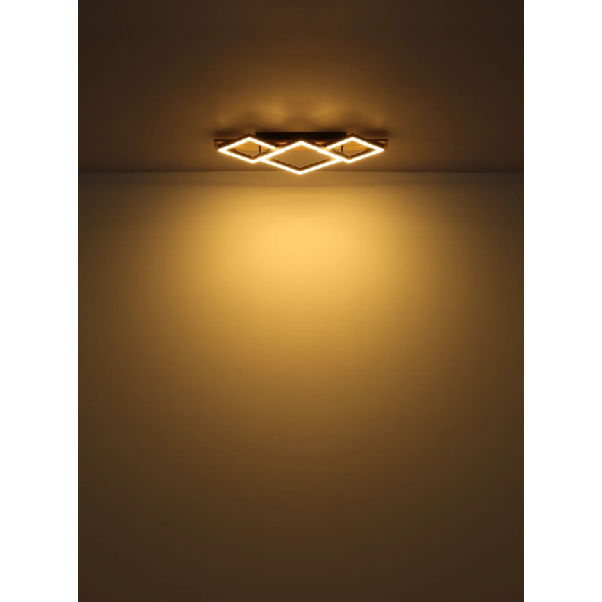 Globo - LED Stropní svítidlo LED/24W/230V