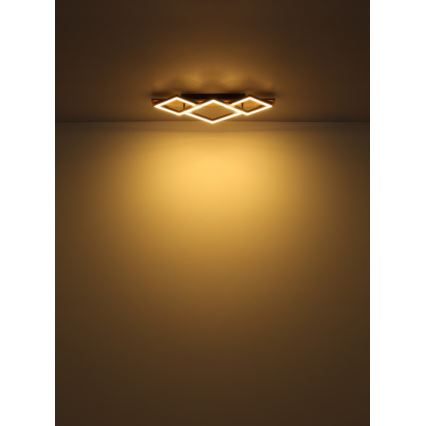 Globo - LED Stropní svítidlo LED/24W/230V + LED/8W 3000K 31x61cm