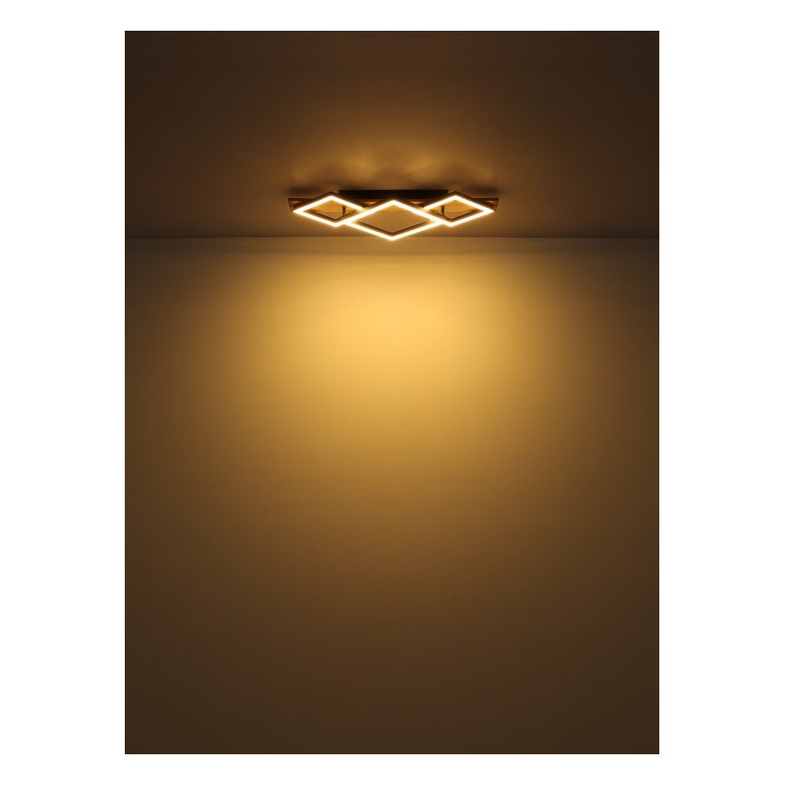 Globo - LED Stropní svítidlo LED/24W/230V + LED/8W 3000K 31x61cm