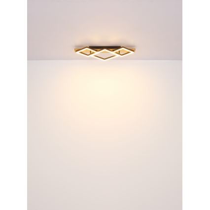 Globo - LED Stropní svítidlo LED/24W/230V + LED/8W 3000K 31x61cm