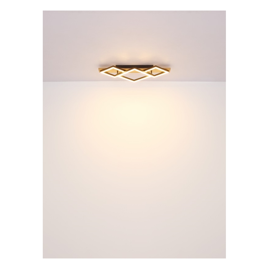 Globo - LED Stropní svítidlo LED/24W/230V + LED/8W 3000K 31x61cm