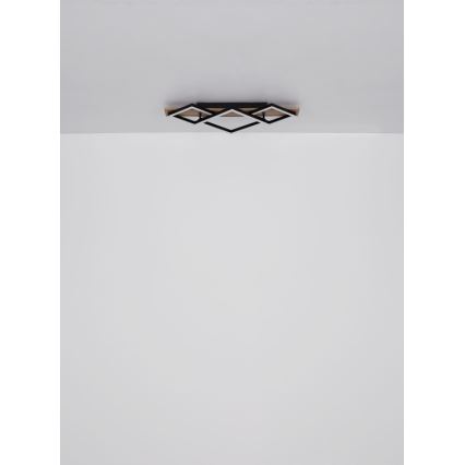 Globo - LED Stropní svítidlo LED/24W/230V + LED/8W 3000K 31x61cm