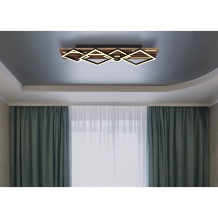 Globo - LED Stropní svítidlo LED/30W/230V + LED/12W 3000K 31x82cm