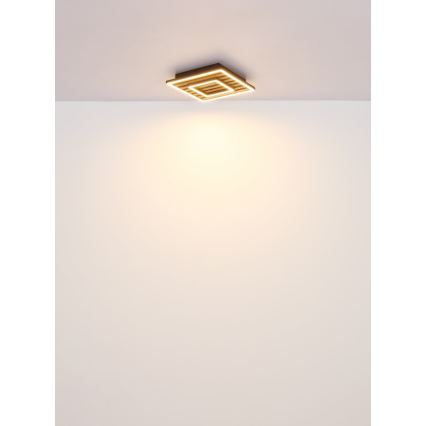 Globo - LED Stropní svítidlo LED/18W/230V 3000K 30x30 cm