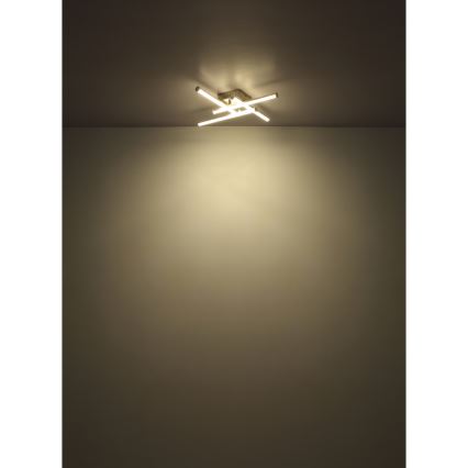 Globo - LED Stropní svítidlo LED/6W/230V 4000K matný chrom