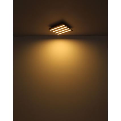 Globo - LED Stropní svítidlo LED/15W/230V 3000K 30x30 cm
