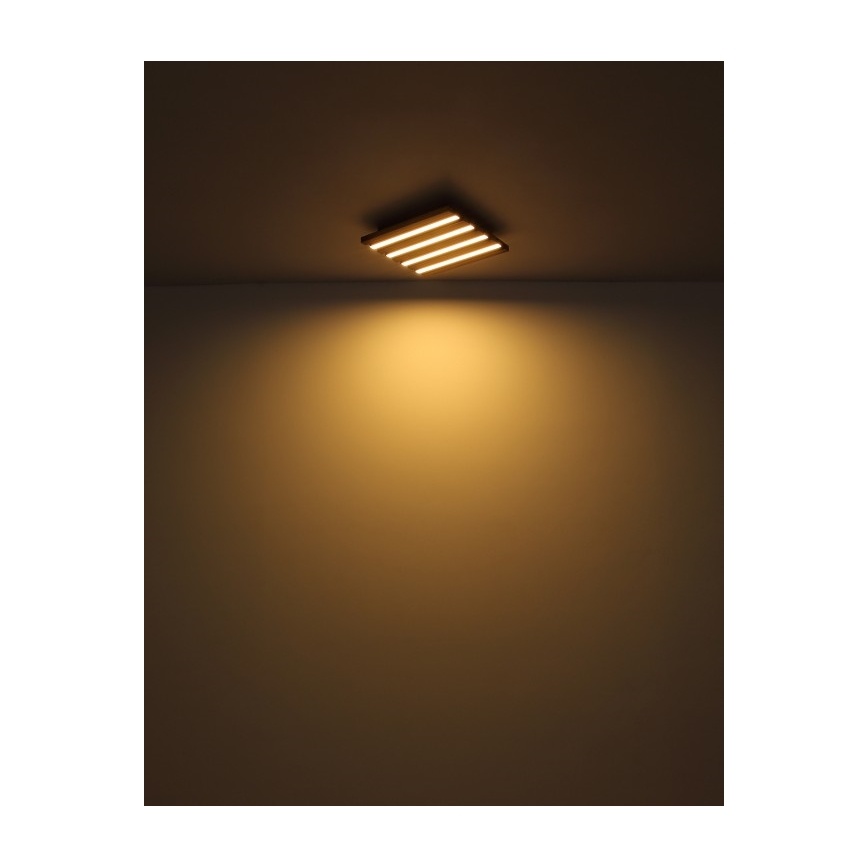 Globo - LED Stropní svítidlo LED/15W/230V 3000K 30x30 cm