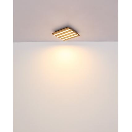 Globo - LED Stropní svítidlo LED/15W/230V 3000K 30x30 cm