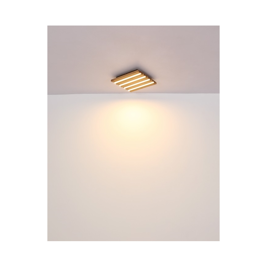 Globo - LED Stropní svítidlo LED/15W/230V 3000K 30x30 cm