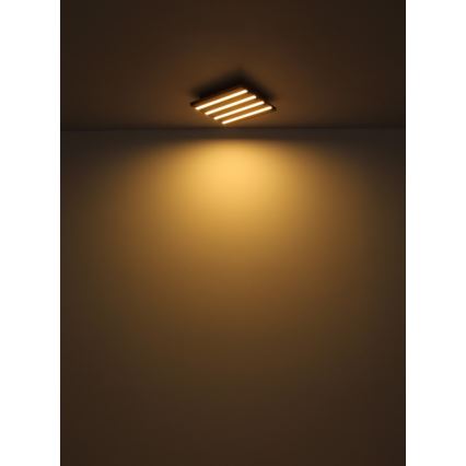 Globo - LED Stropní svítidlo LED/30W/230V 3000K 45x45 cm