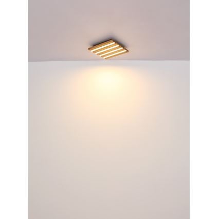 Globo - LED Stropní svítidlo LED/30W/230V 3000K 45x45 cm