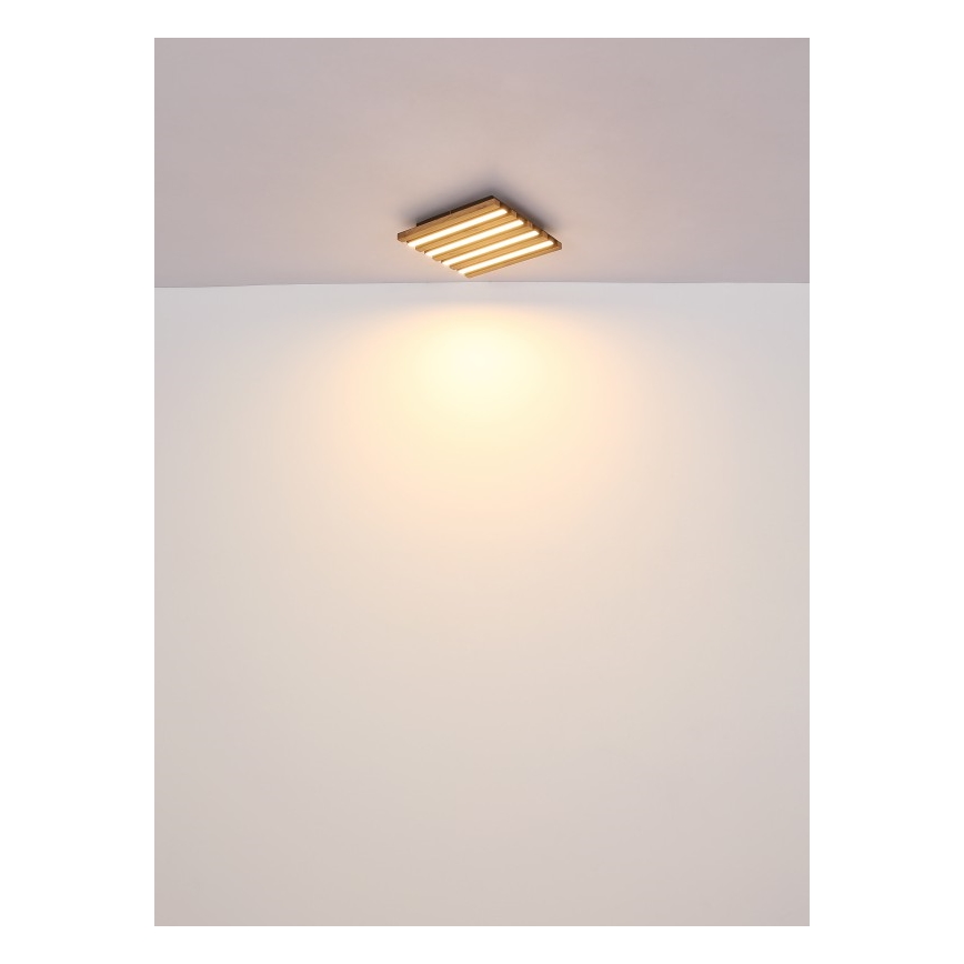 Globo - LED Stropní svítidlo LED/30W/230V 3000K 45x45 cm
