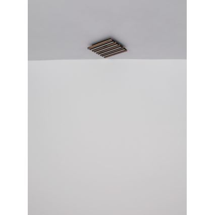 Globo - LED Stropní svítidlo LED/30W/230V 3000K 45x45 cm
